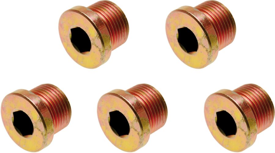 Oil Drain Plug | for BGS 126 | M17 x 1.5 mm | 5 pcs. (126-SM17) - 126-SM17 salidzini kurpirkt cenas