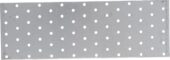 Steel plate with holes | 300 x 100 mm (80787) - 80787 salidzini kurpirkt cenas