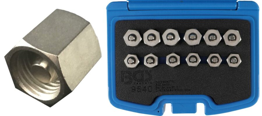Injector Sealing Plug Set | 12 pcs. (9540) - 9540 salidzini kurpirkt cenas
