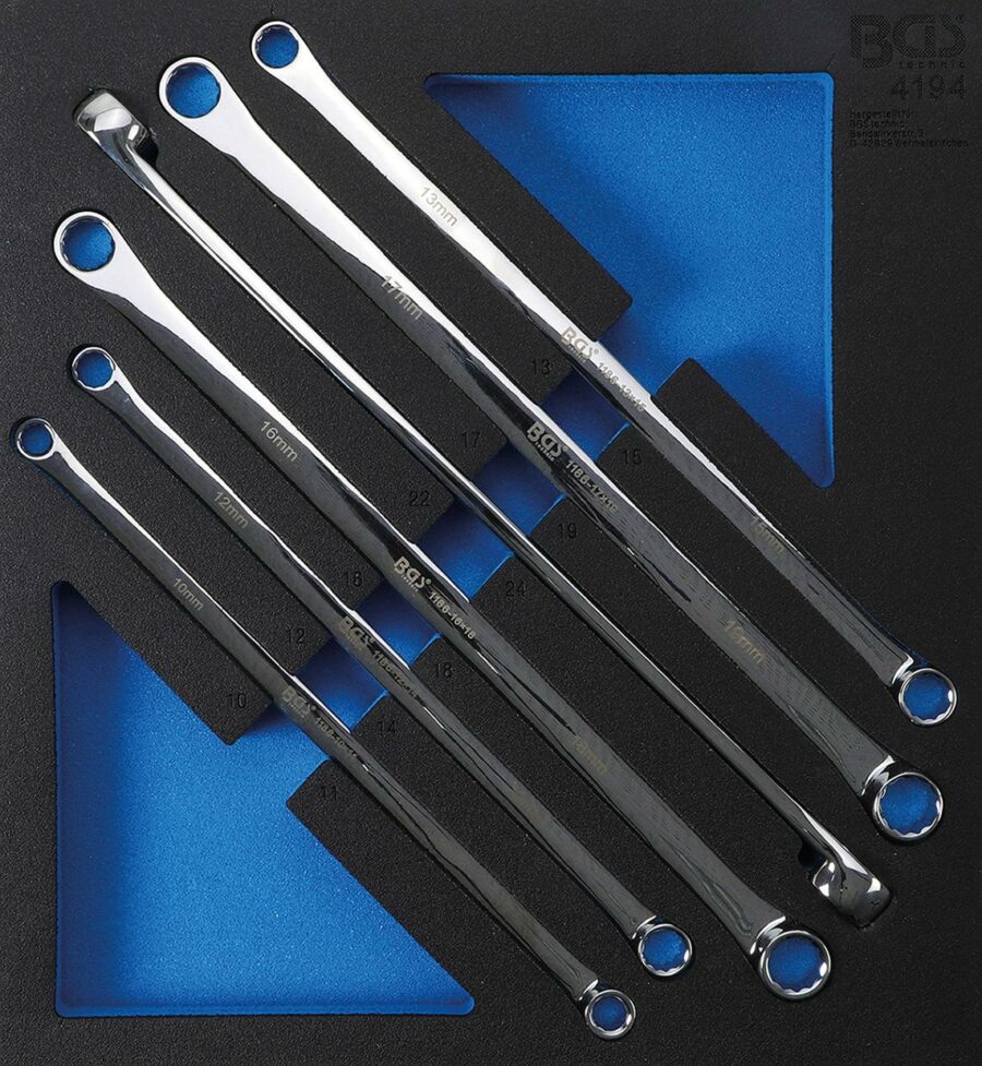 Tool Tray 2/3: Double Ring Spanner Set | 10 x 11 - 22 x 24 mm | 6 pcs. (4194) - 4194 salidzini kurpirkt cenas